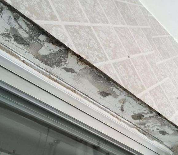 墙砖掉了几块怎么补救水泥没掉下来(墙砖掉了几块怎么补救水泥没掉下来呢) 墙砖掉了几块怎么补救水泥没掉下来(墙砖掉了几块怎么补救水泥没掉下来呢)